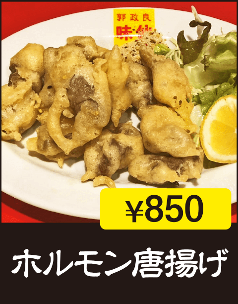 ホルモン唐揚げ